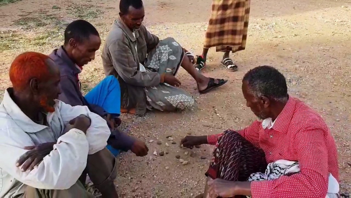 Shaxda ama jarta waa dhaqan inta badan lagu yaqaano odoyaasha Soomaalida. Halkani waa magaaladda Araarso oo u dhaxaysa Dhagaxbuur iyo Jigjiga.