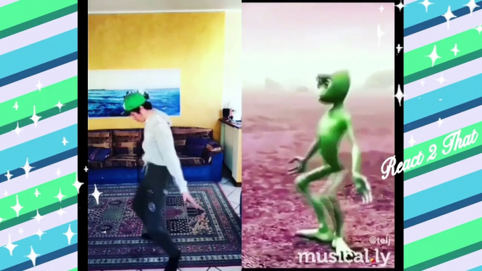 Dame Tu Cosita 2 Challenge - Musically Compilation 2018