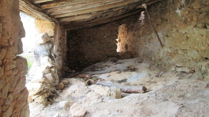 Trashumancia de principios del siglo XX en Alcocebre/Alcalá de Xivert