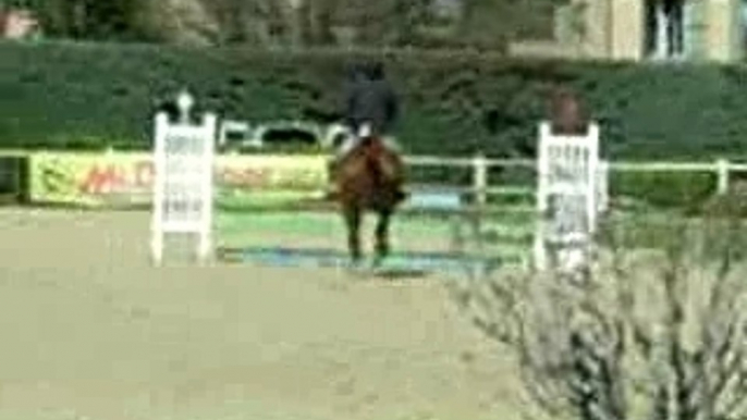 Concours de Saut d'Obstacles au Haras National d'Uzès