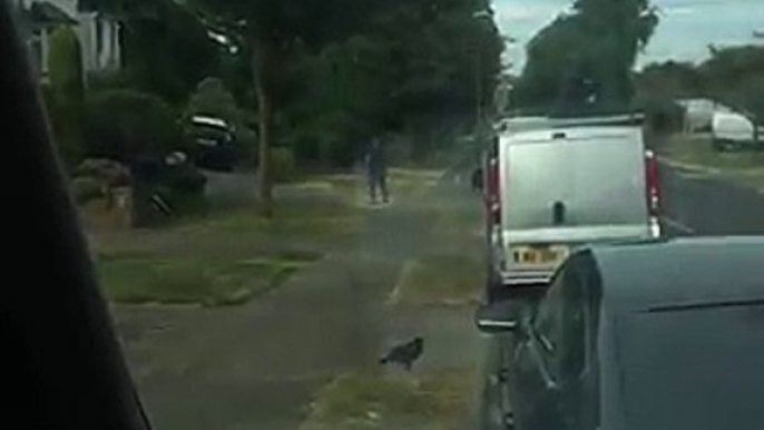 "Driving with my dad earlier today and we saw a stranded dog running down our road. He got out and went to see if it was okay then this happened"