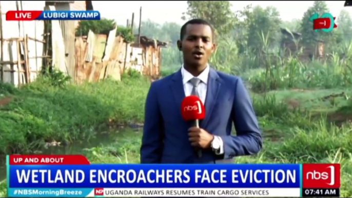 VIDEO: Uncertainty hovers over the people  living in Lubigi swamp as NEMA plans to restore 200 acres of land. #NBSMorningBreeze #NBSUpdates