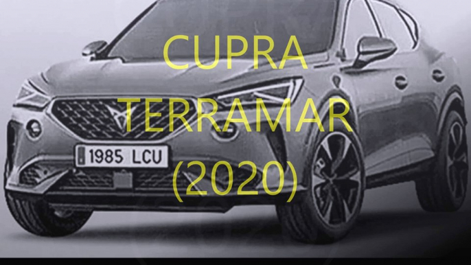 CUPRA TERRAMAR (2020)