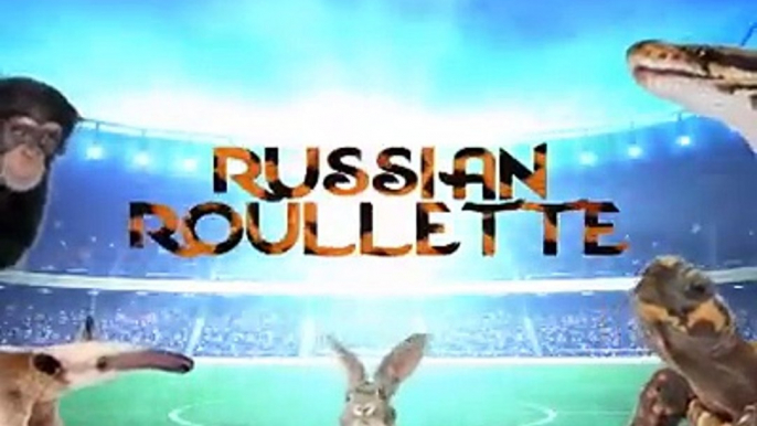 The long wait is over, it's been over 48 hours since a ball has been kicked in Russia, and fans are going crazy... it's now the World Cup Semis and only four te