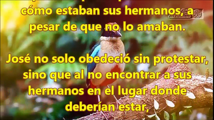 Devocional 9 Julio,Dios te habla hoy."Hijos, obedeced a vuestros padres"   .