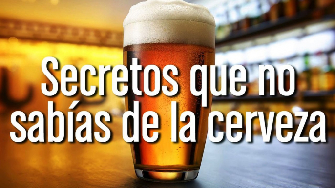 [CH] Curiosidades que no sabías de la CERVEZA