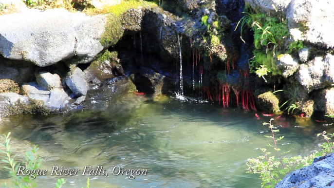 Rogue River Falls, Oregon featuring Steve Cole