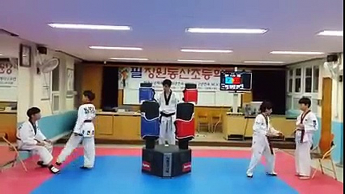 TAEKWONDO ELECTRONIC TRAINING