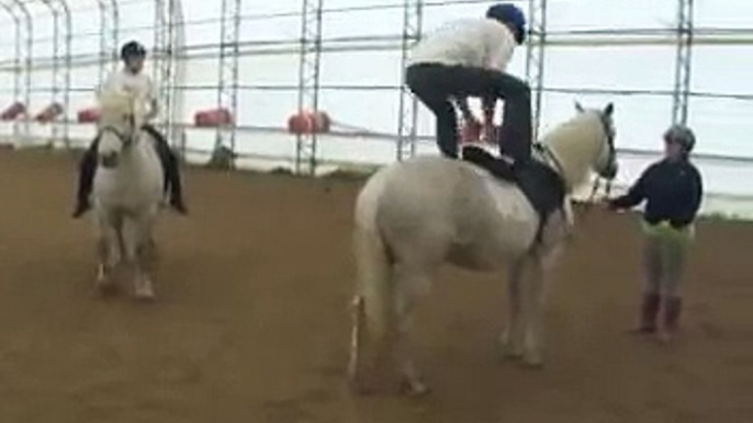 Epic Horse Jump Fail _ Animal Fail _ AFV