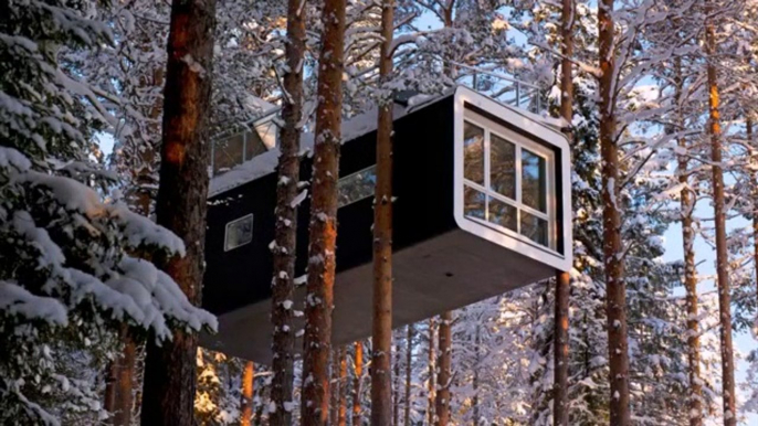 Cette maison dans les arbres est fabriquée afin de pouvoir admirer les aurores boréales