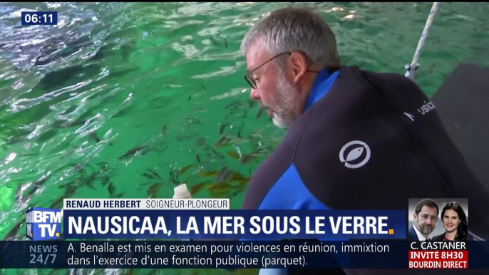 Sur les routes de Nausicaà, la mer sous le verre