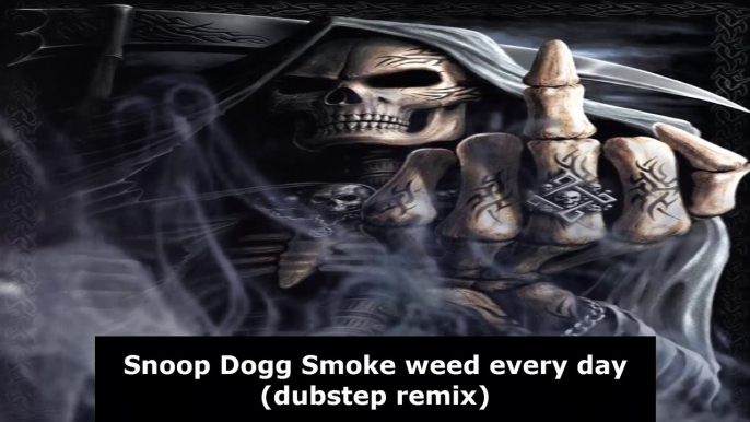 Snoop Dogg Smoke weed every day dubstep remix (nocopyrightsounds free music)