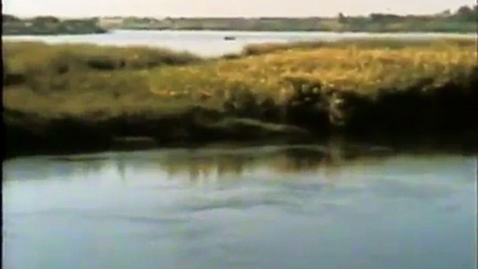 Nile: Profile Of A River (clip)