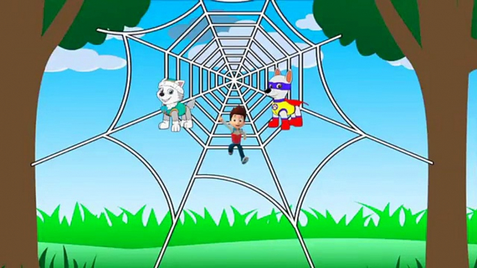 Itsy Bitsy Spider Kids Song | Incy Wincy Spider Nursery Rhyme | Kids Video #Animation