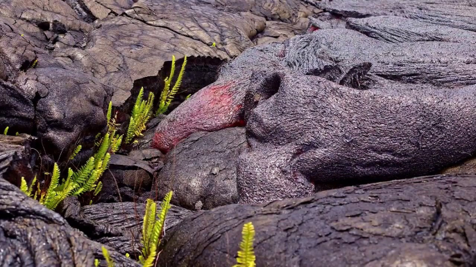 Volcano eruption   Lava Volcano erupting   Hawaii volcano   Lava lake   Lava flow  2017