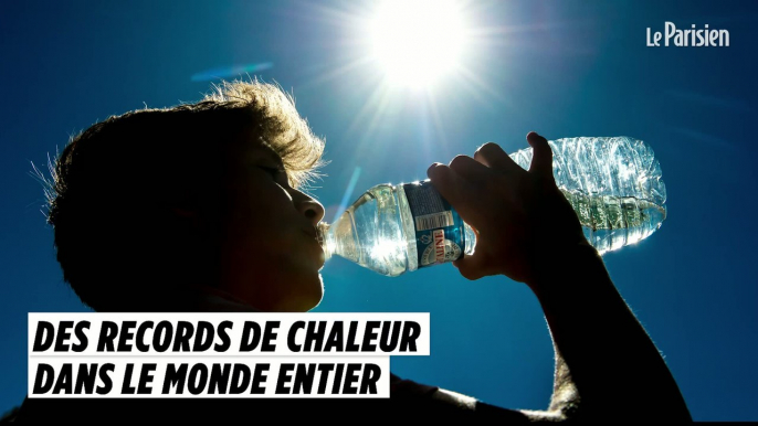 Canicule : records de chaleur dans le monde entier