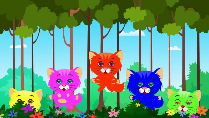 Five Little Kittens | Five Little | Kids Songs With Lyrics For Babies | Nursery Rhymes