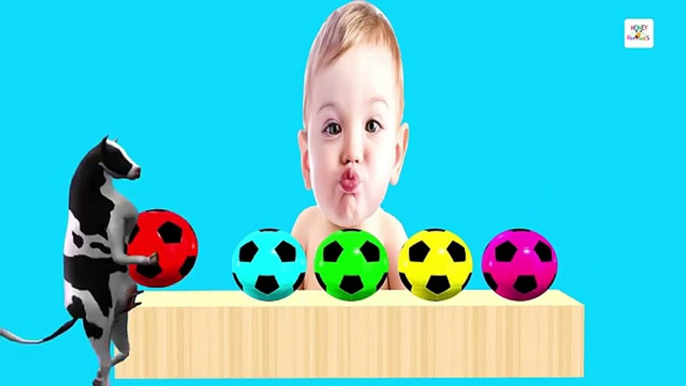 Crying Baby Learn Colors With Soccer Ball Balloon Domestic Animals Colors Horse Family Son