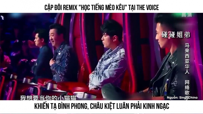 Cặp Đôi Remix "Học Tiếng Mèo Kêu" Tại The Voice Khiến Tạ Đình Phong, Châu Kiệt Luân Phải Kinh Ngạc