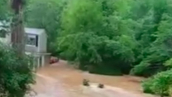 Severe Storm Brings Flash Flooding to Pittsboro, North Carolina