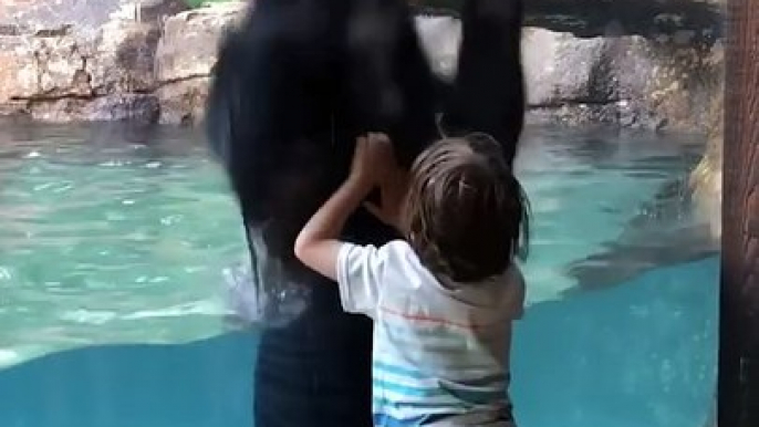 This bear lets his inner child out as he jumps in unison with a 5-year-old boy.