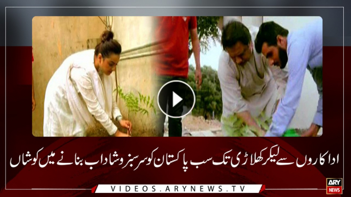 Everyone from artists to players did their bits in effort to make Pakistan greener