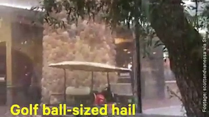 Golf ball-sized hail injured 14 people and killed 2 zoo animals in Colorado