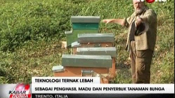 Melixa, Teknologi Canggih Pengawas Lebah Madu