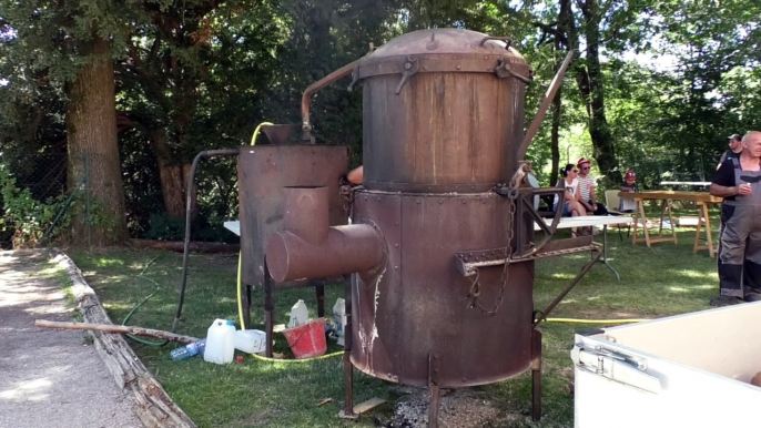 Alpes de Hautes-Provence: à la fête de la lavande à Saint-Geniez, la distillation c'est une affaire de famille.