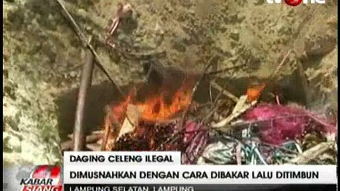 1,5 Ton Daging Celeng Ilegal Dimusnahkan