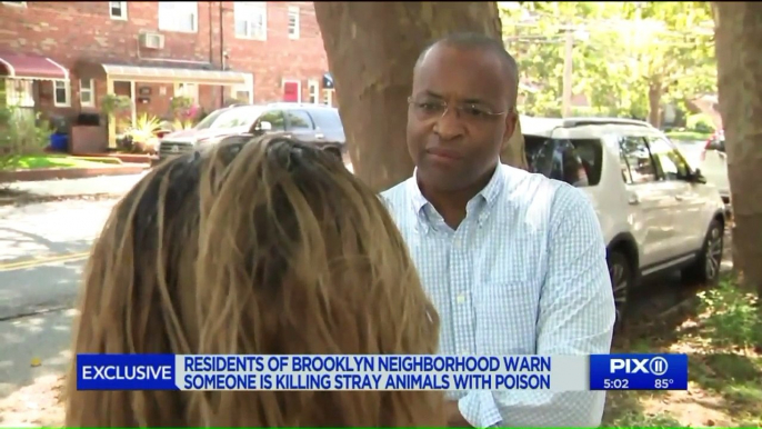 NYC Neighborhood Residents Warn Someone Is Killing Pets with Poison