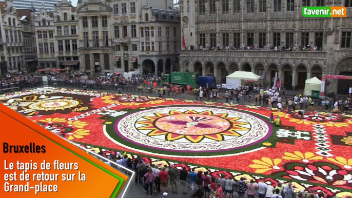 Le tapis de fleurs est de retour sur la Grand-place de Bruxelles