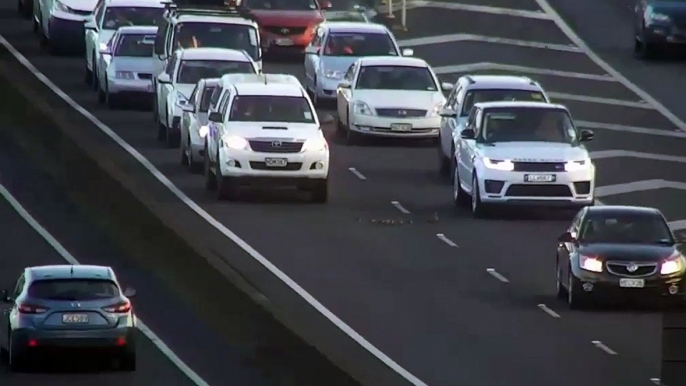 Ces automobilistes laissent passer une famille de canard sur l’autoroute