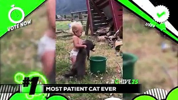 We’re awarding $25,000 to the best user-submitted video of the year! And each week we choose a $250 winner! Submit and vote here   #chive25 #thechive #chiveit