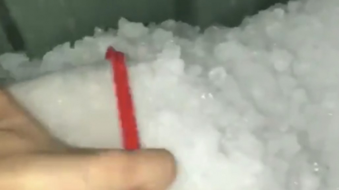 Hailstones Blanket Parts of Sydney as Severe Thunderstorm Lashes New South Wales