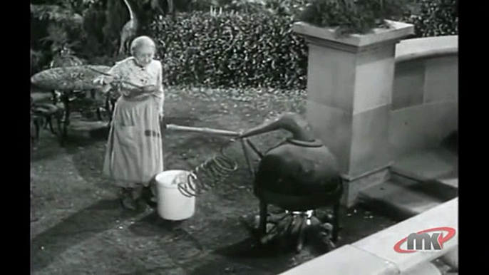 The Beverly Hillbillies S01 E21