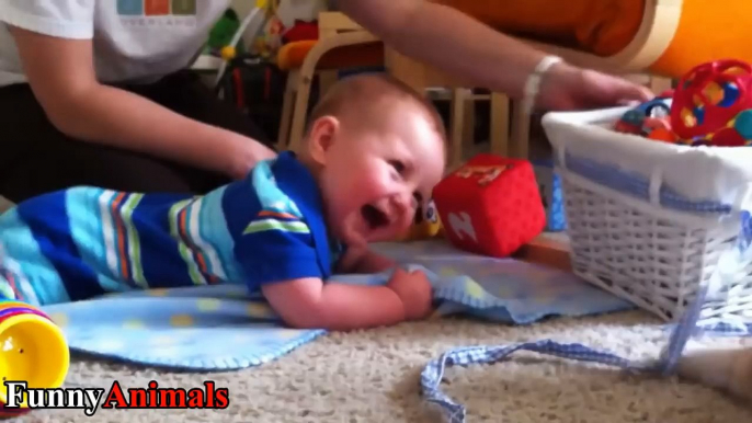 Funny Babies Laughing at Cats Compilation 2017 - Cats Loves Babies Video