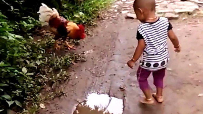 Why did the chicken cross the road? To attack everyone on the otherside Follow Vs. for more!