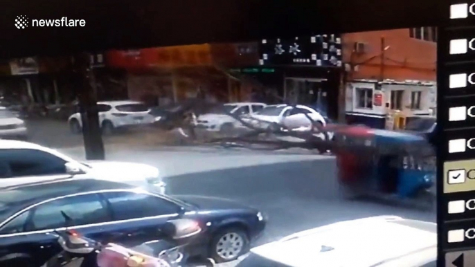 Terrifying scene as tree collapses on top of teenager crossing the street