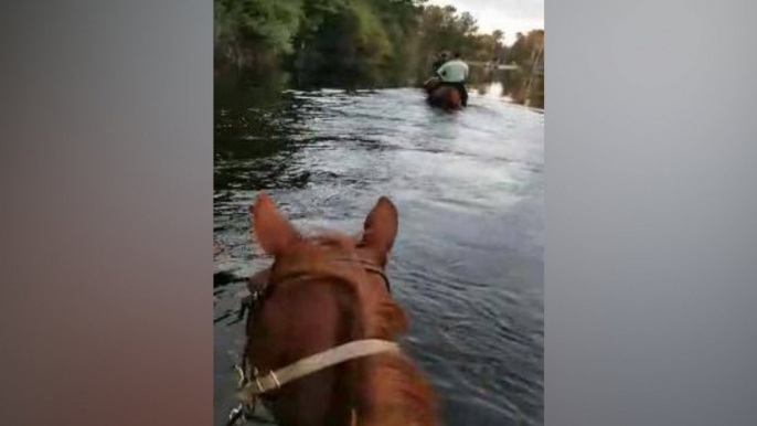'Hurricane Cowboy' Rescues Horses From Flood Ravaged Areas In South Carolina