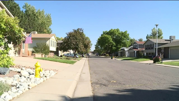 Neighborhood Residents Use Social Media to Gather Info on Suspected Burglar