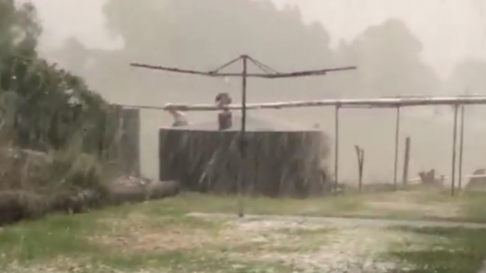 Hail Pummels Northeast New South Wales