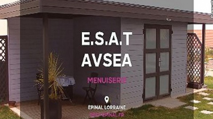 Travail protégé, - A Epinal dans les Vosges (88) – ESAT AVSEA