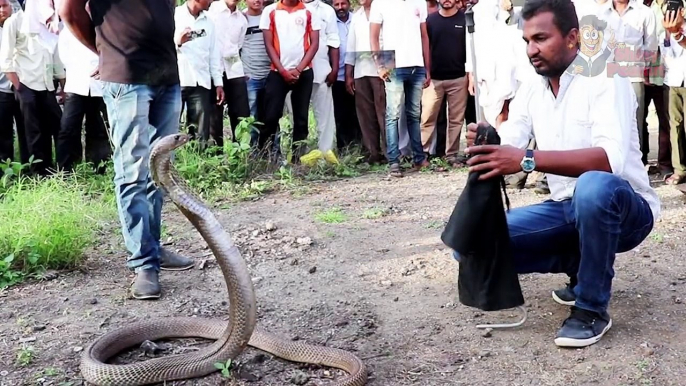 Ketika Ular Terjebak di Dalam Sumur yang Besar