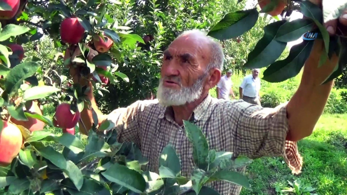 75 yaşındaki dede gençlere taş çıkartıyor