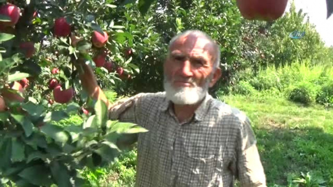 75 Yaşındaki Dede Gençlere Taş Çıkartıyor