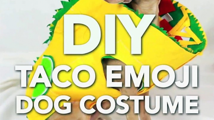 Happy National Taco Day! Make this Halloween costume for your pup to celebrate.