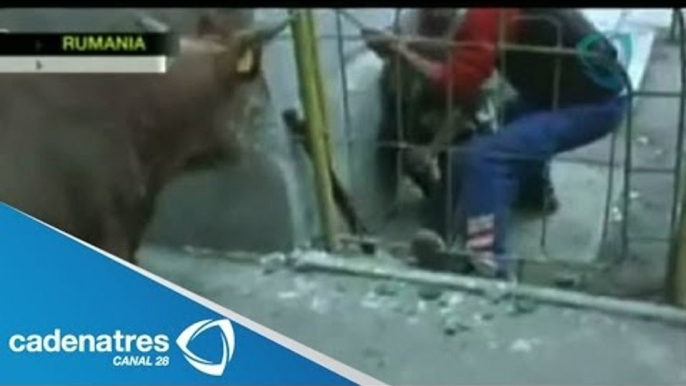 Toro ataca a un policía de tránsito de Rumania / Bull attacks a Romanian traffic police