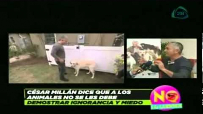 César Millán revela como se convirtió en el encantador de perros