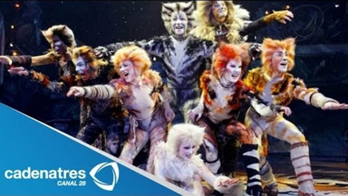 Cats revela placa por 200 representaciones / Cats reveals plate 200 performances